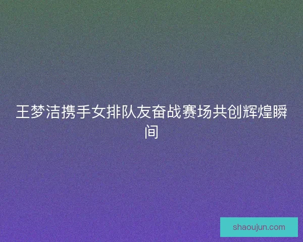 王梦洁携手女排队友奋战赛场共创辉煌瞬间