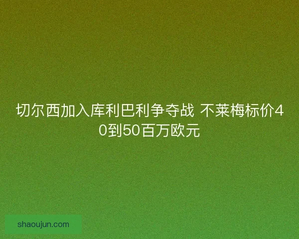 切尔西加入库利巴利争夺战 不莱梅标价40到50百万欧元