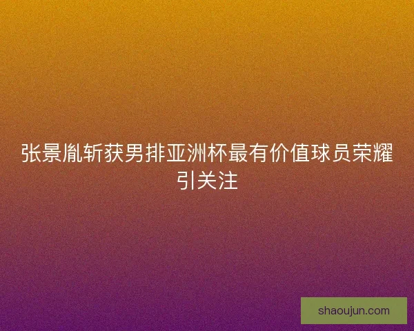 张景胤斩获男排亚洲杯最有价值球员荣耀引关注