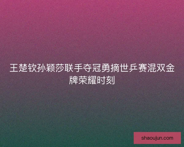 王楚钦孙颖莎联手夺冠勇摘世乒赛混双金牌荣耀时刻